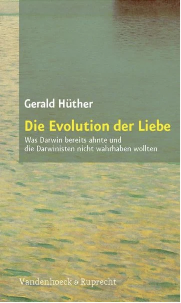 Bildschirmfoto 2023-08-02 um 12.01.53